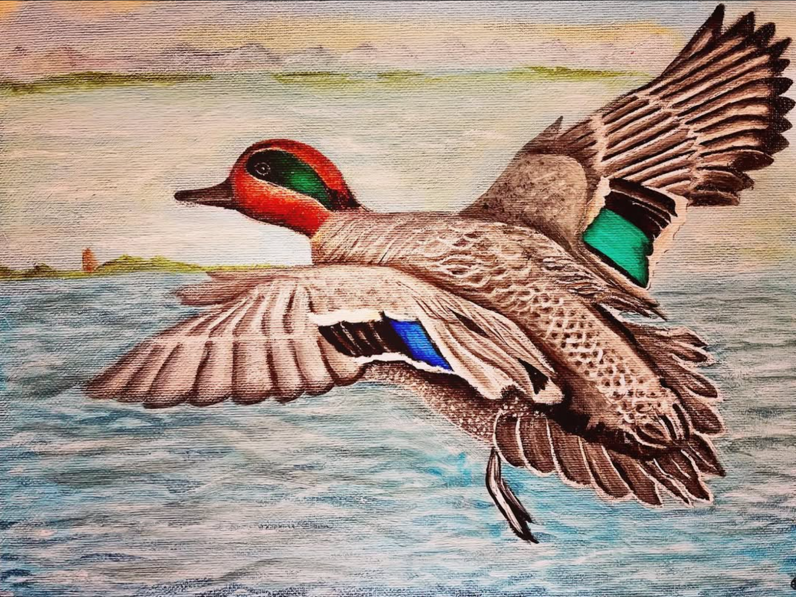 Federal Duck Stamp Winner